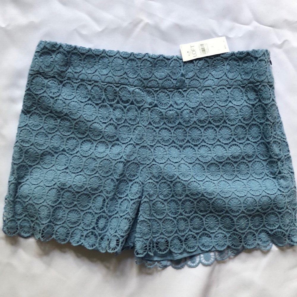 Loft shorts
